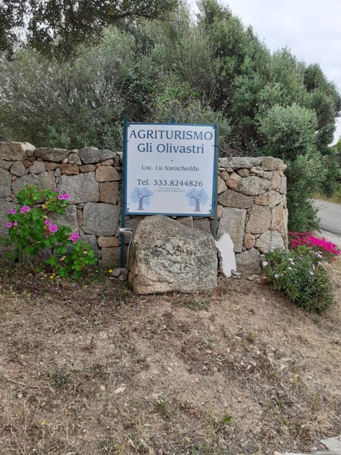 אגליאנטו Gli Olivastri Con Piscina,Solarium, Vista Mare ,Sole -Mare E Tanta Natura ,Climatizzatore,Wifi מראה חיצוני תמונה