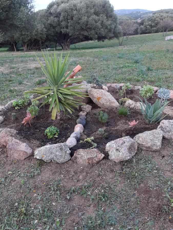 אגליאנטו Gli Olivastri Con Piscina,Solarium, Vista Mare ,Sole -Mare E Tanta Natura ,Climatizzatore,Wifi מראה חיצוני תמונה
