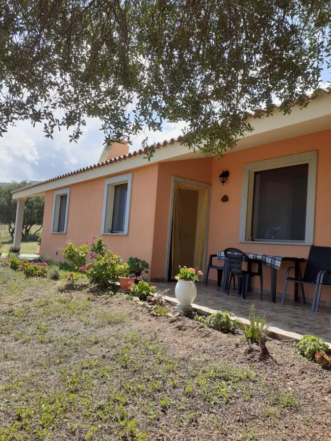 אגליאנטו Gli Olivastri Con Piscina,Solarium, Vista Mare ,Sole -Mare E Tanta Natura ,Climatizzatore,Wifi מראה חיצוני תמונה
