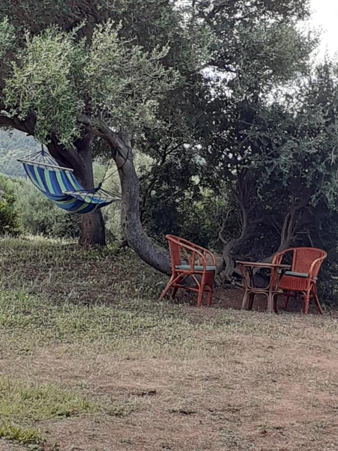 אגליאנטו Gli Olivastri Con Piscina,Solarium, Vista Mare ,Sole -Mare E Tanta Natura ,Climatizzatore,Wifi מראה חיצוני תמונה