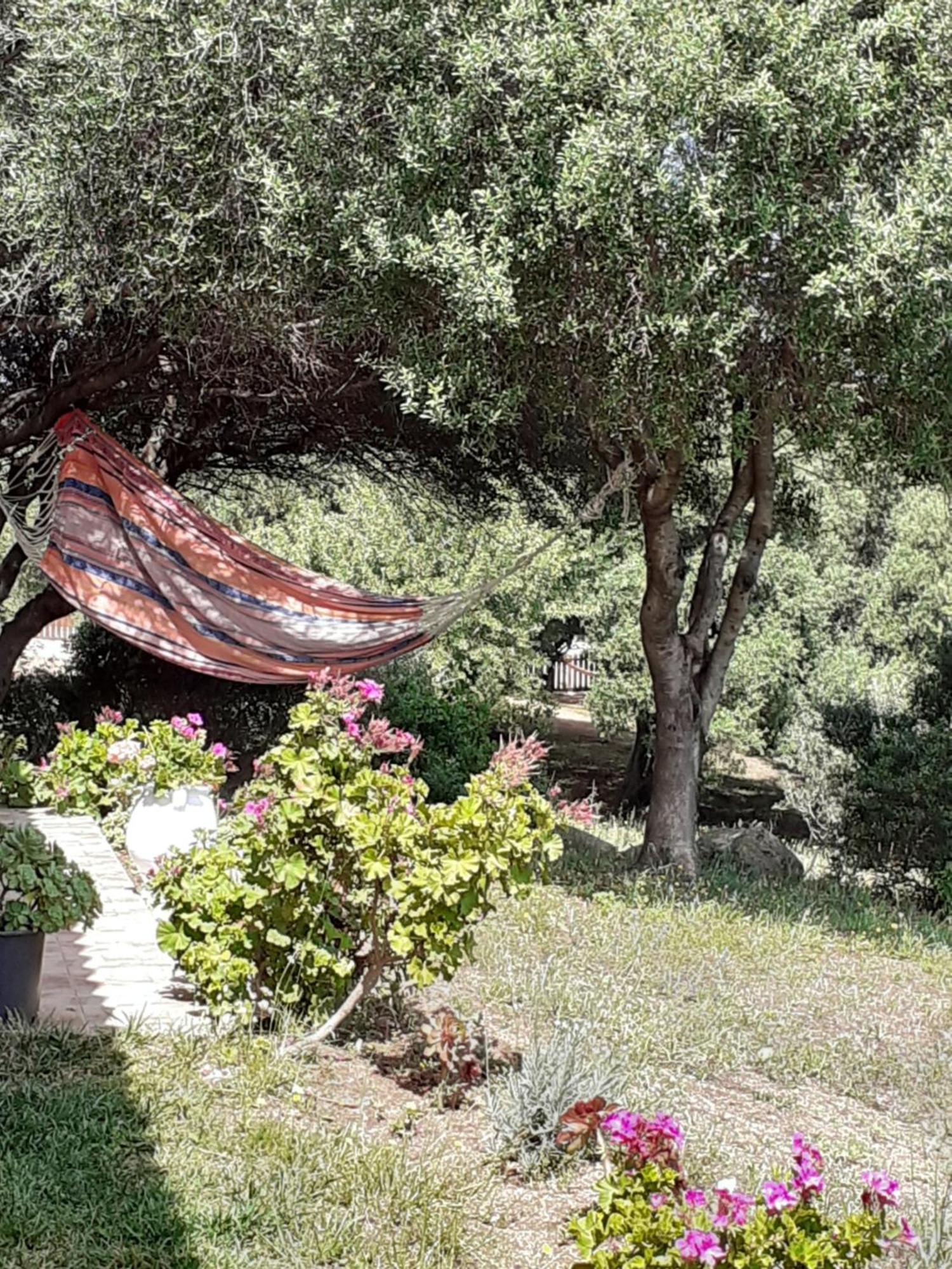 אגליאנטו Gli Olivastri Con Piscina,Solarium, Vista Mare ,Sole -Mare E Tanta Natura ,Climatizzatore,Wifi מראה חיצוני תמונה