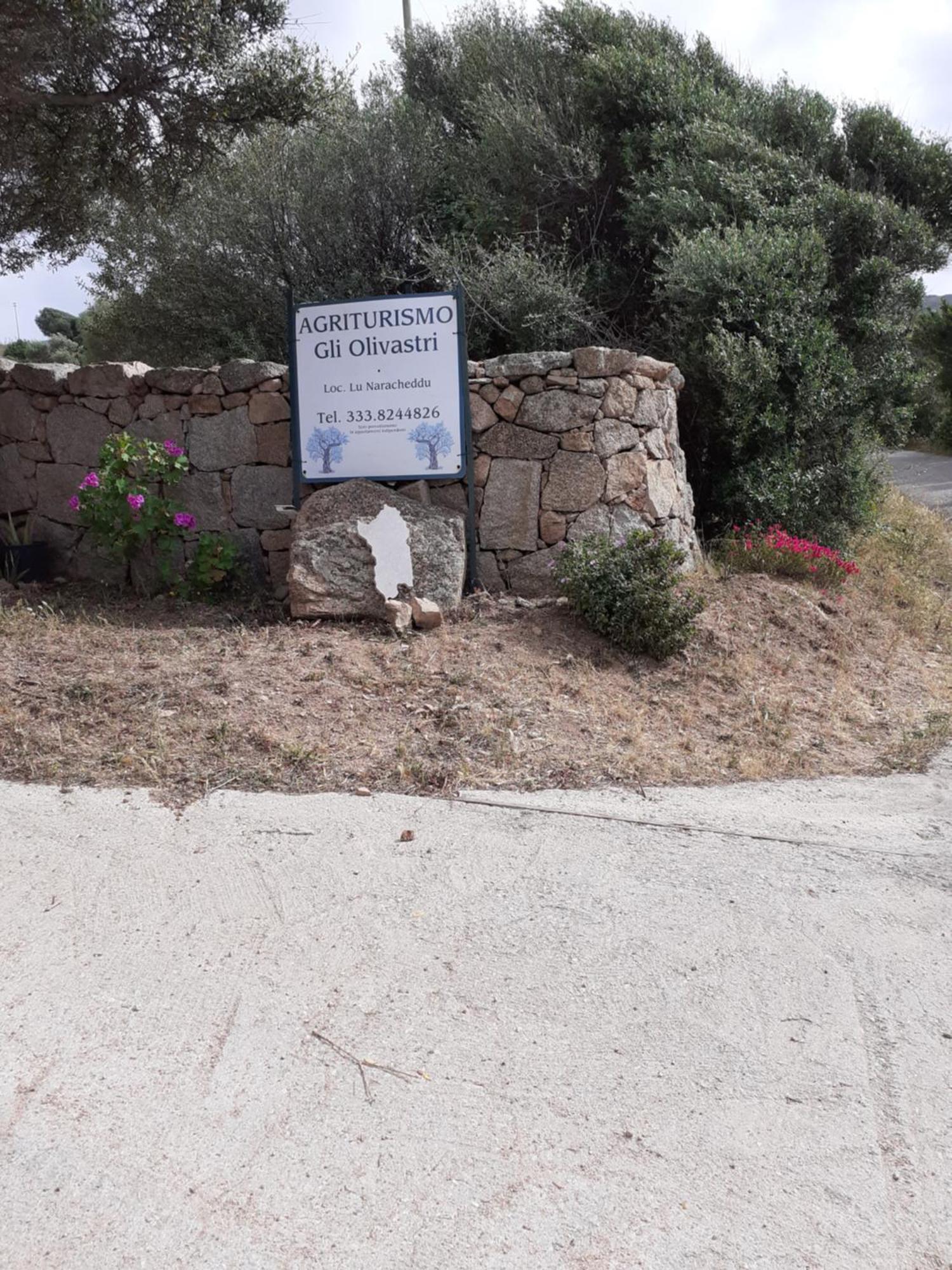 אגליאנטו Gli Olivastri Con Piscina,Solarium, Vista Mare ,Sole -Mare E Tanta Natura ,Climatizzatore,Wifi מראה חיצוני תמונה