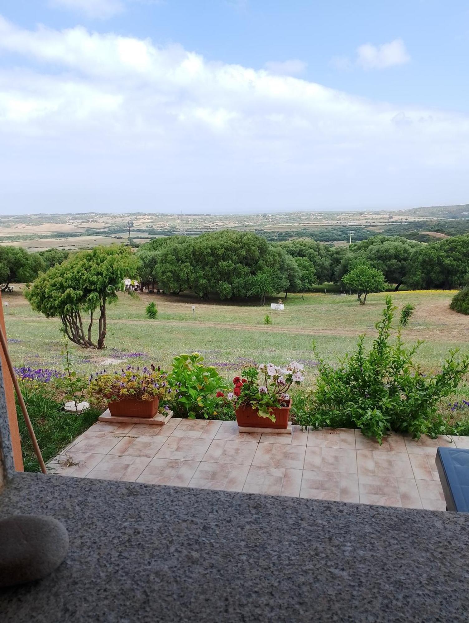 אגליאנטו Gli Olivastri Con Piscina,Solarium, Vista Mare ,Sole -Mare E Tanta Natura ,Climatizzatore,Wifi מראה חיצוני תמונה