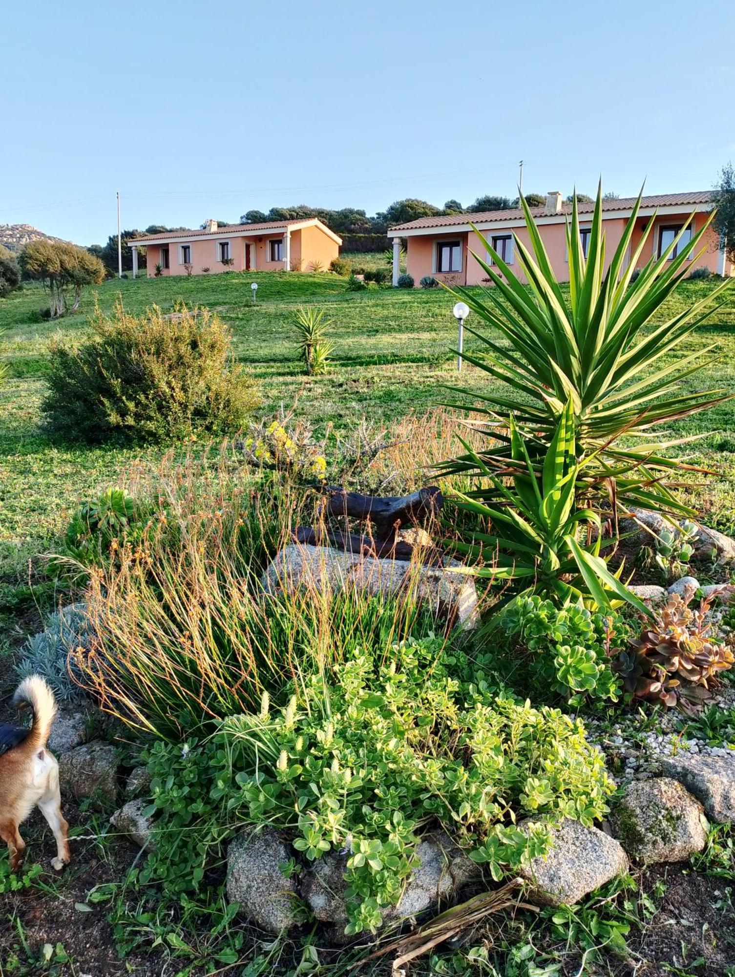 אגליאנטו Gli Olivastri Con Piscina,Solarium, Vista Mare ,Sole -Mare E Tanta Natura ,Climatizzatore,Wifi מראה חיצוני תמונה
