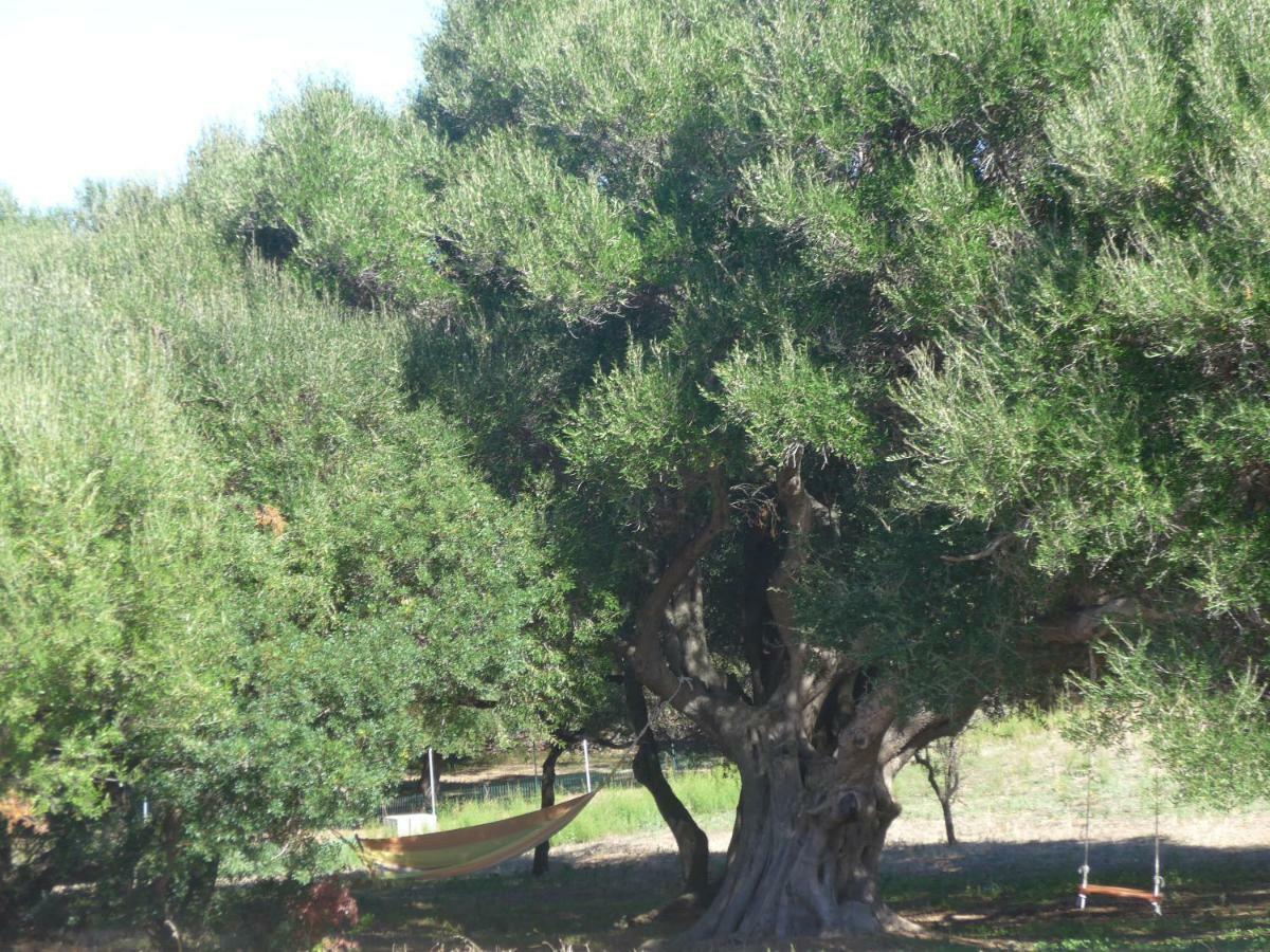 אגליאנטו Gli Olivastri Con Piscina,Solarium, Vista Mare ,Sole -Mare E Tanta Natura ,Climatizzatore,Wifi מראה חיצוני תמונה