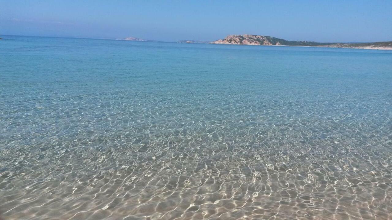 אגליאנטו Gli Olivastri Con Piscina,Solarium, Vista Mare ,Sole -Mare E Tanta Natura ,Climatizzatore,Wifi מראה חיצוני תמונה