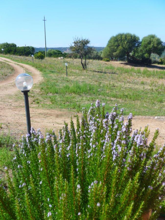 אגליאנטו Gli Olivastri Con Piscina,Solarium, Vista Mare ,Sole -Mare E Tanta Natura ,Climatizzatore,Wifi מראה חיצוני תמונה