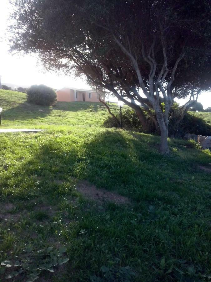 אגליאנטו Gli Olivastri Con Piscina,Solarium, Vista Mare ,Sole -Mare E Tanta Natura ,Climatizzatore,Wifi מראה חיצוני תמונה